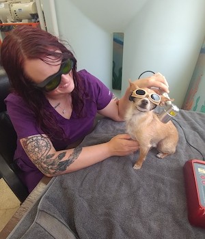 laser therapy